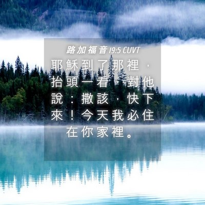 Picture 04 - 路 加 福 音 19:5 CUVT - 耶 穌 到 了 那 裡 ， 抬 頭 一 看 ， - Bible Verse Picture