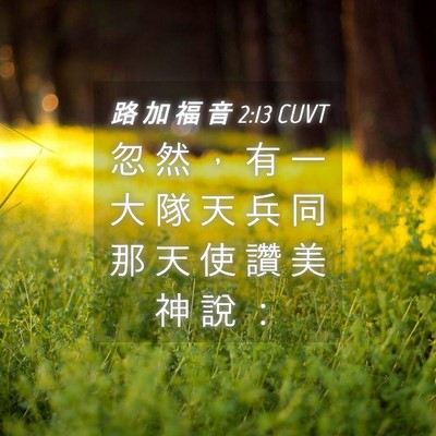 Picture 04 - 路 加 福 音 2:13 CUVT - 忽 然 ， 有 一 大 隊 天 兵 同 那 天 - Bible Verse Picture