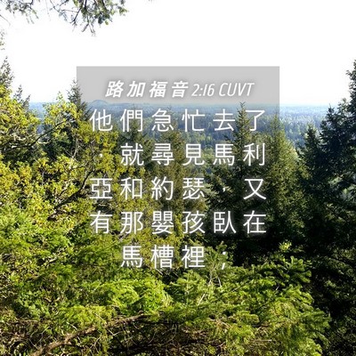 Picture 04 - 路 加 福 音 2:16 CUVT - 他 們 急 忙 去 了 ， 就 尋 見 馬 利 - Bible Verse Picture