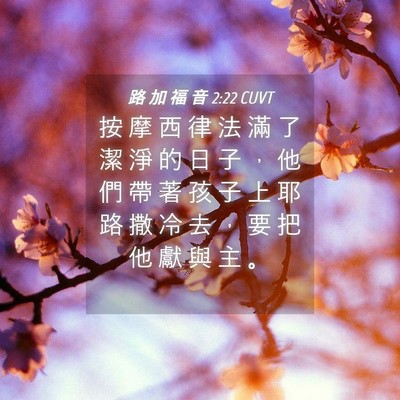 Picture 04 - 路 加 福 音 2:22 CUVT - 按 摩 西 律 法 滿 了 潔 淨 的 日 子 - Bible Verse Picture