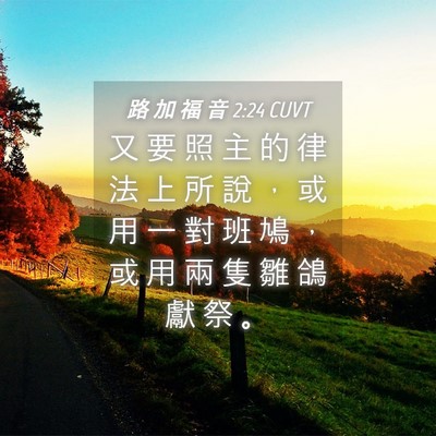 Picture 04 - 路 加 福 音 2:24 CUVT - 又 要 照 主 的 律 法 上 所 說 ， 或 - Bible Verse Picture