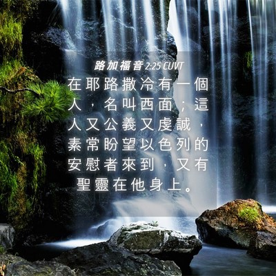 Picture 04 - 路 加 福 音 2:25 CUVT - 在 耶 路 撒 冷 有 一 個 人 ， 名 叫 - Bible Verse Picture