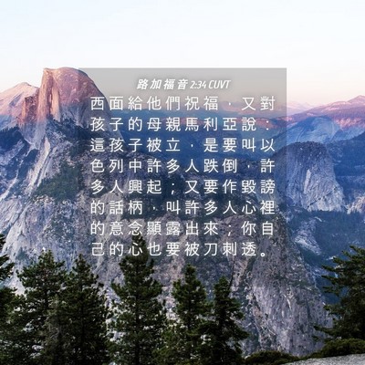 Picture 04 - 路 加 福 音 2:34 CUVT - 西 面 給 他 們 祝 福 ， 又 對 孩 子 - Bible Verse Picture