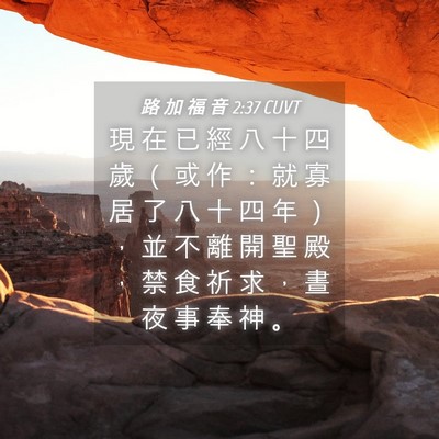 Picture 04 - 路 加 福 音 2:37 CUVT - 現 在 已 經 八 十 四 歲 （ 或 作 ： - Bible Verse Picture