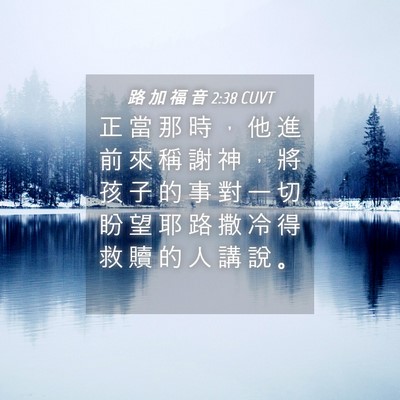 Picture 04 - 路 加 福 音 2:38 CUVT - 正 當 那 時 ， 他 進 前 來 稱 謝 神 - Bible Verse Picture
