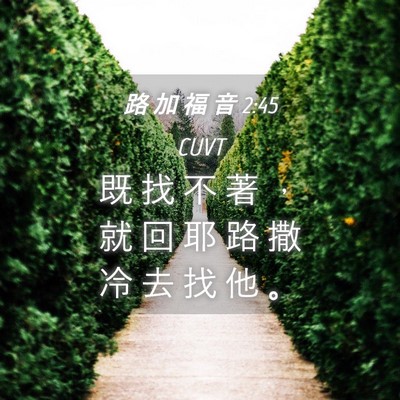 Picture 04 - 路 加 福 音 2:45 CUVT - 既 找 不 著 ， 就 回 耶 路 撒 冷 去 - Bible Verse Picture