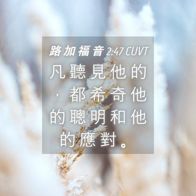 Picture 04 - 路 加 福 音 2:47 CUVT - 凡 聽 見 他 的 ， 都 希 奇 他 的 聰 - Bible Verse Picture