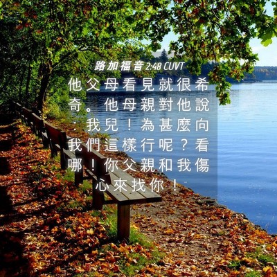 Picture 04 - 路 加 福 音 2:48 CUVT - 他 父 母 看 見 就 很 希 奇 。 他 母 - Bible Verse Picture