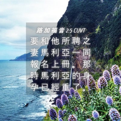 Picture 04 - 路 加 福 音 2:5 CUVT - 要 和 他 所 聘 之 妻 馬 利 亞 一 同 - Bible Verse Picture