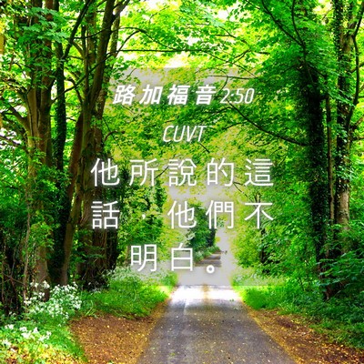 Picture 04 - 路 加 福 音 2:50 CUVT - 他 所 說 的 這 話 ， 他 們 不 明 白 - Bible Verse Picture
