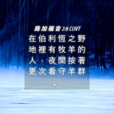 Picture 04 - 路 加 福 音 2:8 CUVT - 在 伯 利 恆 之 野 地 裡 有 牧 羊 的 - Bible Verse Picture