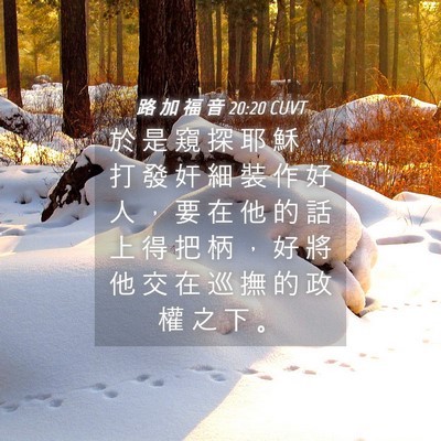 Picture 04 - 路 加 福 音 20:20 CUVT - 於 是 窺 探 耶 穌 ， 打 發 奸 細 裝 - Bible Verse Picture