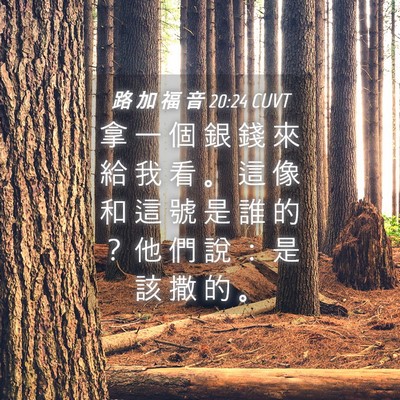 Picture 04 - 路 加 福 音 20:24 CUVT - 拿 一 個 銀 錢 來 給 我 看 。 這 像 - Bible Verse Picture