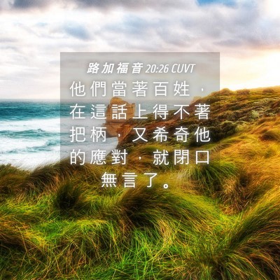 Picture 04 - 路 加 福 音 20:26 CUVT - 他 們 當 著 百 姓 ， 在 這 話 上 得 - Bible Verse Picture