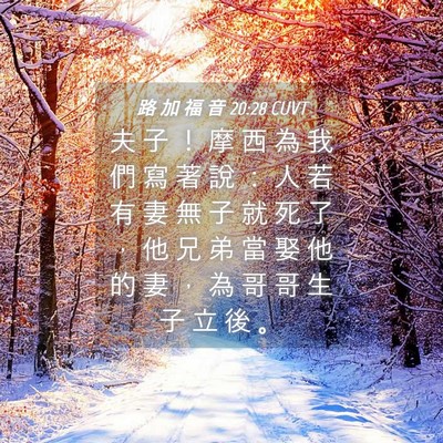 Picture 04 - 路 加 福 音 20:28 CUVT - 夫 子 ！ 摩 西 為 我 們 寫 著 說 ： - Bible Verse Picture