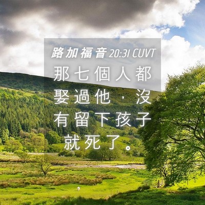 Picture 04 - 路 加 福 音 20:31 CUVT - 那 七 個 人 都 娶 過 他 ， 沒 有 留 - Bible Verse Picture