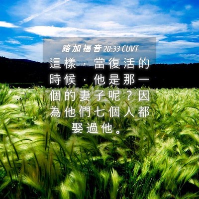 Picture 04 - 路 加 福 音 20:33 CUVT - 這 樣 ， 當 復 活 的 時 候 ， 他 是 - Bible Verse Picture