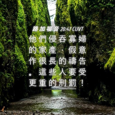 Picture 04 - 路 加 福 音 20:47 CUVT - 他 們 侵 吞 寡 婦 的 家 產 ， 假 意 - Bible Verse Picture