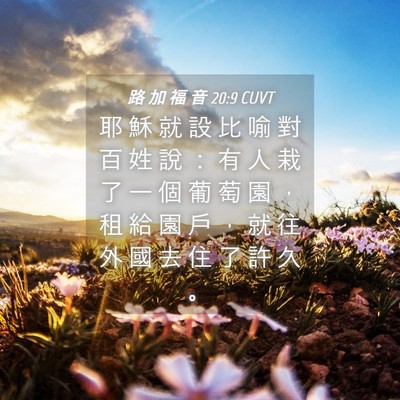 Picture 04 - 路 加 福 音 20:9 CUVT - 耶 穌 就 設 比 喻 對 百 姓 說 ： 有 - Bible Verse Picture