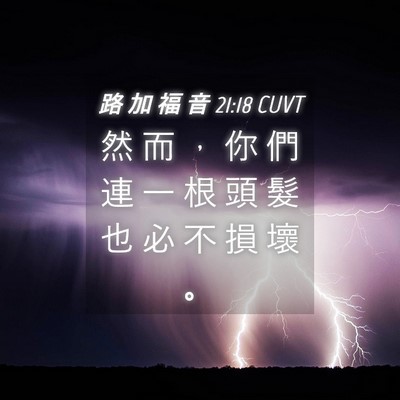 Picture 04 - 路 加 福 音 21:18 CUVT - 然 而 ， 你 們 連 一 根 頭 髮 也 必 - Bible Verse Picture