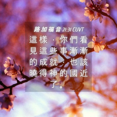 Picture 04 - 路 加 福 音 21:31 CUVT - 這 樣 ， 你 們 看 見 這 些 事 漸 漸 - Bible Verse Picture