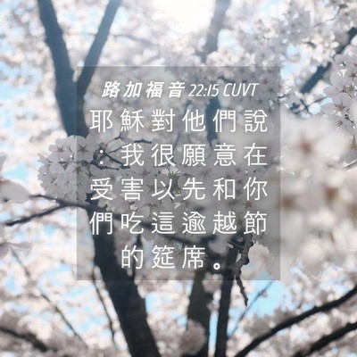 Picture 04 - 路 加 福 音 22:15 CUVT - 耶 穌 對 他 們 說 ： 我 很 願 意 在 - Bible Verse Picture