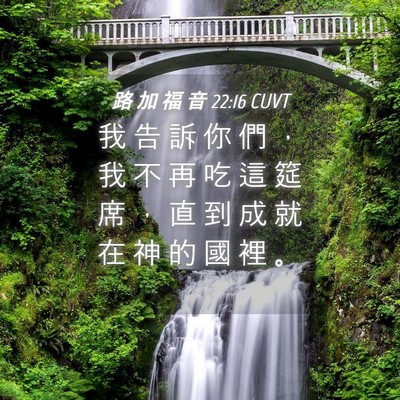 Picture 04 - 路 加 福 音 22:16 CUVT - 我 告 訴 你 們 ， 我 不 再 吃 這 筵 - Bible Verse Picture