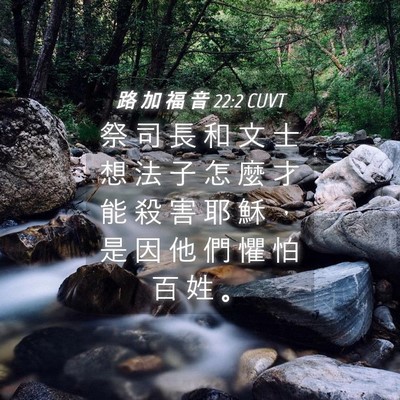 Picture 04 - 路 加 福 音 22:2 CUVT - 祭 司 長 和 文 士 想 法 子 怎 麼 才 - Bible Verse Picture