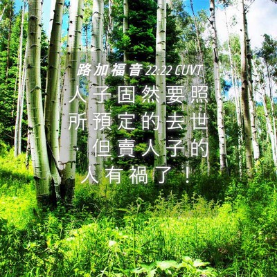 Picture 04 - 路 加 福 音 22:22 CUVT - 人 子 固 然 要 照 所 預 定 的 去 世 - Bible Verse Picture