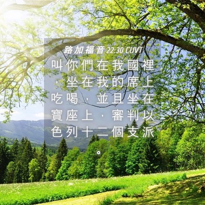 Picture 04 - 路 加 福 音 22:30 CUVT - 叫 你 們 在 我 國 裡 ， 坐 在 我 的 - Bible Verse Picture