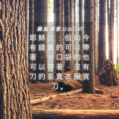 Picture 04 - 路 加 福 音 22:36 CUVT - 耶 穌 說 ： 但 如 今 有 錢 囊 的 可 - Bible Verse Picture