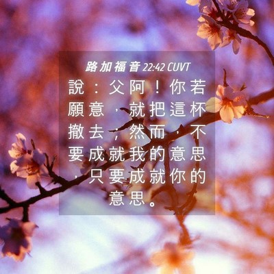 Picture 04 - 路 加 福 音 22:42 CUVT - 說 ： 父 阿 ！ 你 若 願 意 ， 就 把 - Bible Verse Picture