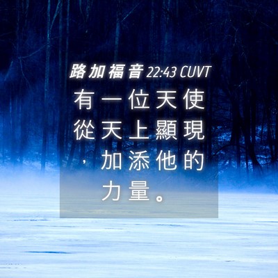 Picture 04 - 路 加 福 音 22:43 CUVT - 有 一 位 天 使 從 天 上 顯 現 ， 加 - Bible Verse Picture