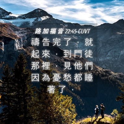 Picture 04 - 路 加 福 音 22:45 CUVT - 禱 告 完 了 ， 就 起 來 ， 到 門 徒 - Bible Verse Picture