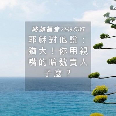 Picture 04 - 路 加 福 音 22:48 CUVT - 耶 穌 對 他 說 ： 猶 大 ！ 你 用 親 - Bible Verse Picture