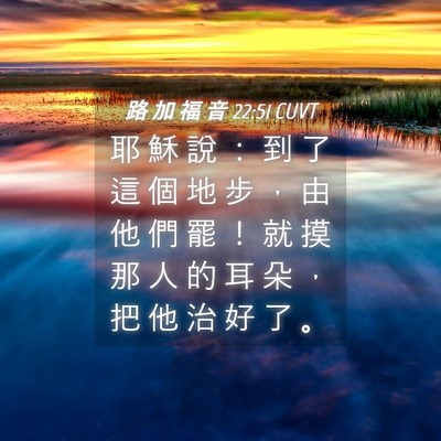 Picture 04 - 路 加 福 音 22:51 CUVT - 耶 穌 說 ： 到 了 這 個 地 步 ， 由 - Bible Verse Picture