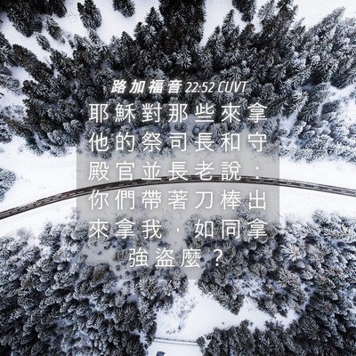 Picture 04 - 路 加 福 音 22:52 CUVT - 耶 穌 對 那 些 來 拿 他 的 祭 司 長 - Bible Verse Picture
