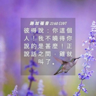 Picture 04 - 路 加 福 音 22:60 CUVT - 彼 得 說 ： 你 這 個 人 ！ 我 不 曉 - Bible Verse Picture