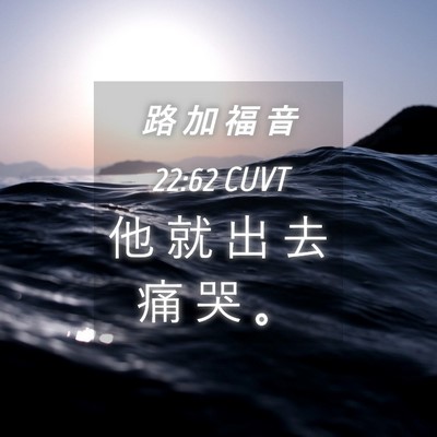 Picture 04 - 路 加 福 音 22:62 CUVT - 他 就 出 去 痛 哭 - Bible Verse Picture