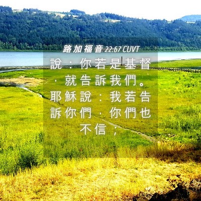 Picture 04 - 路 加 福 音 22:67 CUVT - 說 ： 你 若 是 基 督 ， 就 告 訴 我 - Bible Verse Picture