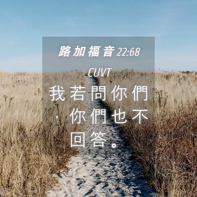 Picture 04 - 路 加 福 音 22:68 CUVT - 我 若 問 你 們 ， 你 們 也 不 回 答 - Bible Verse Picture