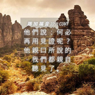 Picture 04 - 路 加 福 音 22:71 CUVT - 他 們 說 ： 何 必 再 用 見 證 呢 ？ - Bible Verse Picture