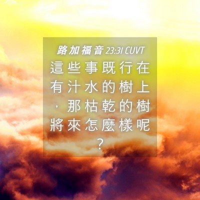 Picture 04 - 路 加 福 音 23:31 CUVT - 這 些 事 既 行 在 有 汁 水 的 樹 上 - Bible Verse Picture