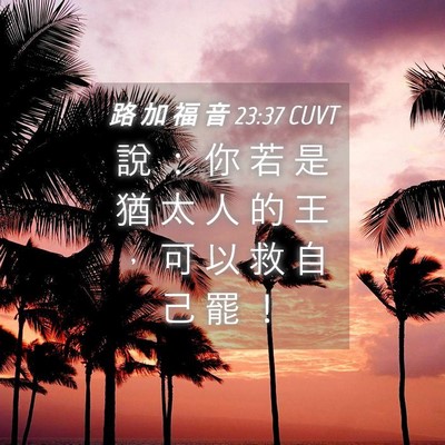 Picture 04 - 路 加 福 音 23:37 CUVT - 說 ： 你 若 是 猶 太 人 的 王 ， 可 - Bible Verse Picture