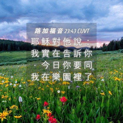 Picture 04 - 路 加 福 音 23:43 CUVT - 耶 穌 對 他 說 ： 我 實 在 告 訴 你 - Bible Verse Picture