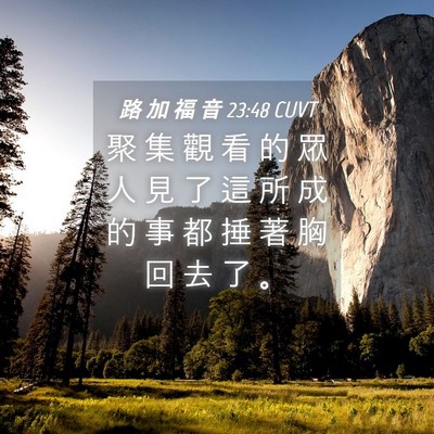 Picture 04 - 路 加 福 音 23:48 CUVT - 聚 集 觀 看 的 眾 人 見 了 這 所 成 - Bible Verse Picture