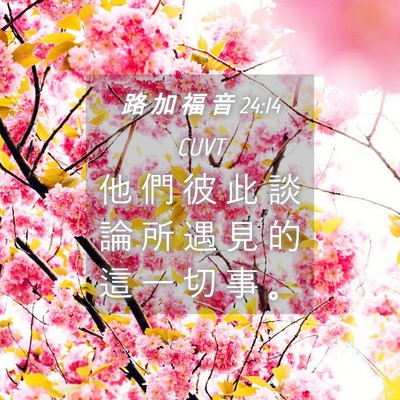 Picture 04 - 路 加 福 音 24:14 CUVT - 他 們 彼 此 談 論 所 遇 見 的 這 一 - Bible Verse Picture
