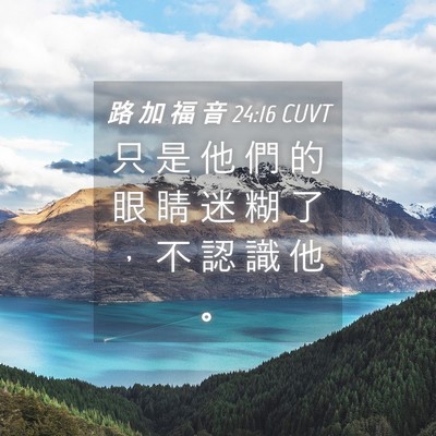 Picture 04 - 路 加 福 音 24:16 CUVT - 只 是 他 們 的 眼 睛 迷 糊 了 ， 不 - Bible Verse Picture