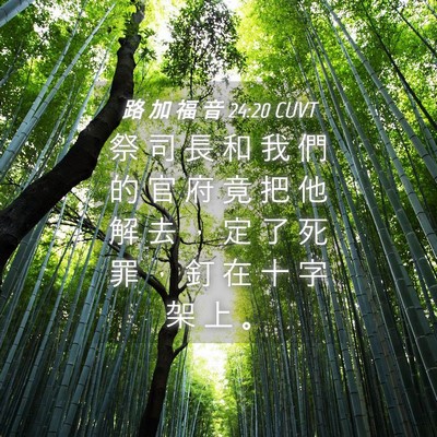 Picture 04 - 路 加 福 音 24:20 CUVT - 祭 司 長 和 我 們 的 官 府 竟 把 他 - Bible Verse Picture