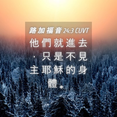 Picture 04 - 路 加 福 音 24:3 CUVT - 他 們 就 進 去 ， 只 是 不 見 主 耶 - Bible Verse Picture